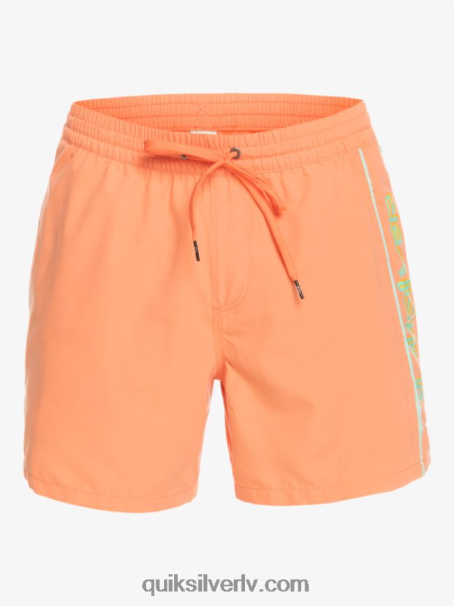 vīriešiem Quiksilver ikdienas vert 16 zalves svaigs lasis 88064R703