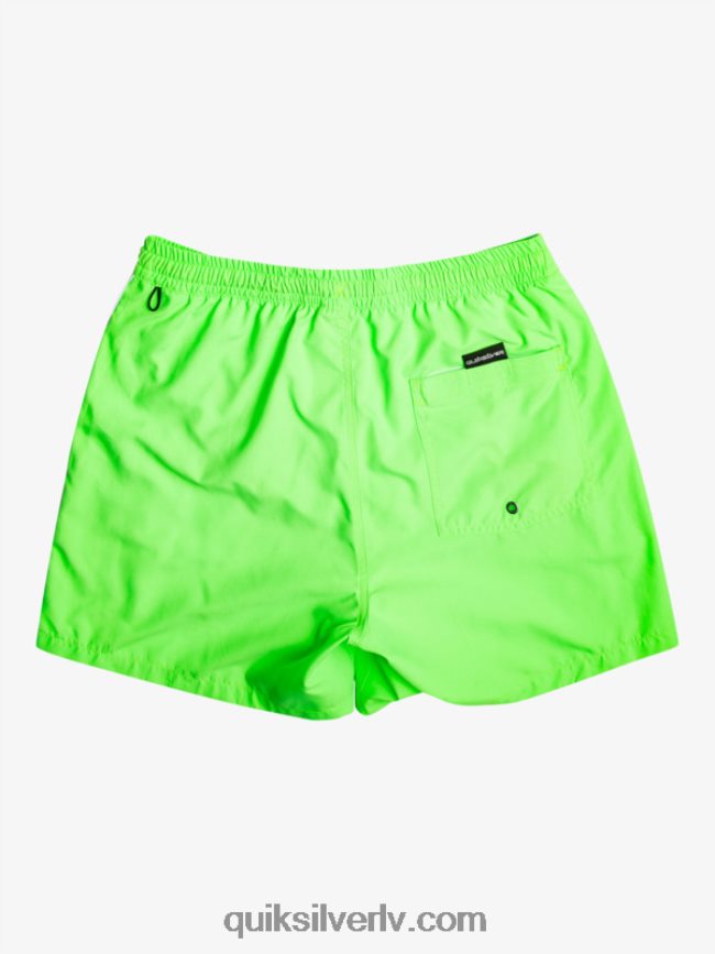 vīriešiem Quiksilver ikdienas vert 16 zalves zaļais gekons 88064R696