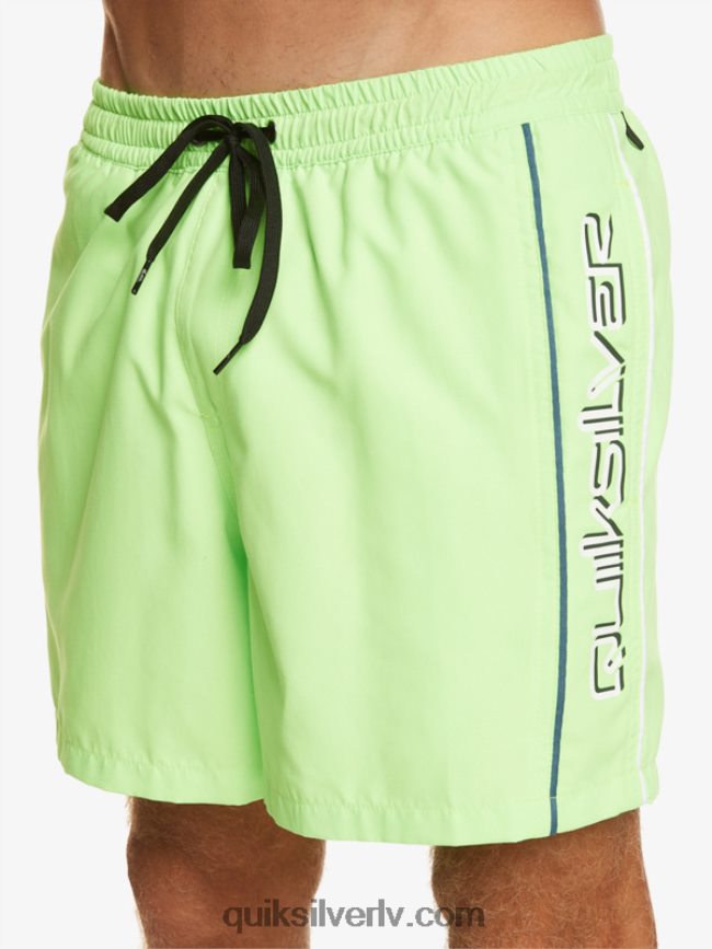 vīriešiem Quiksilver ikdienas vert 16 zalves zaļais gekons 88064R696