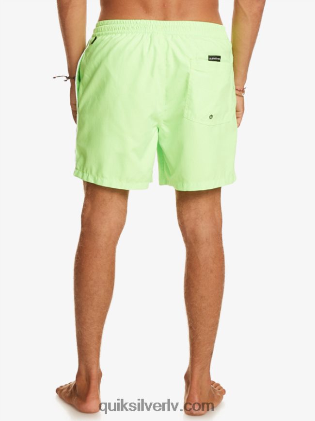 vīriešiem Quiksilver ikdienas vert 16 zalves zaļais gekons 88064R696