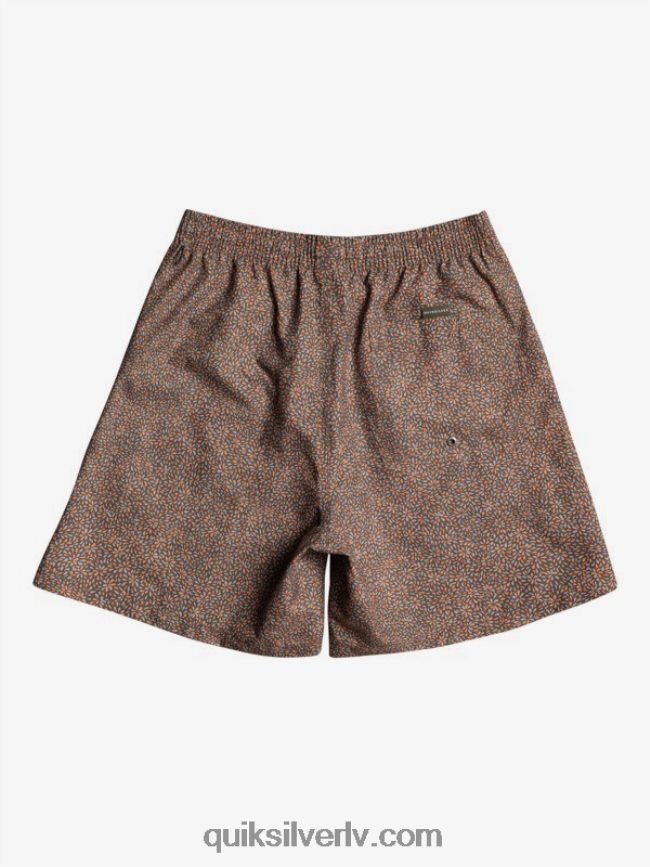 vīriešiem Quiksilver mini brauciens 17 zalves kanēlis 88064R1531