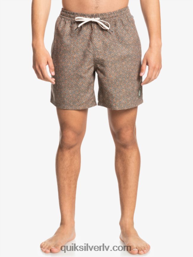vīriešiem Quiksilver mini brauciens 17 zalves kanēlis 88064R1531