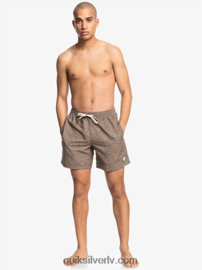 vīriešiem Quiksilver mini brauciens 17 zalves kanēlis 88064R1531
