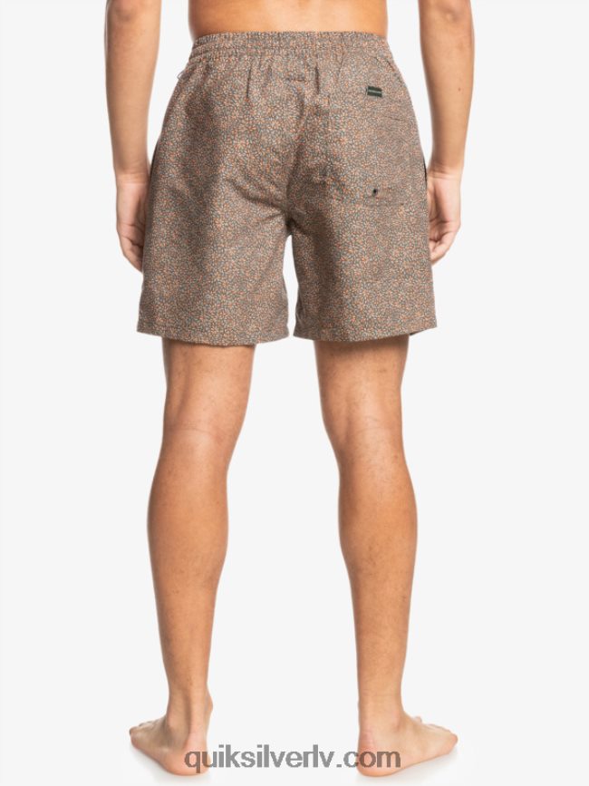 vīriešiem Quiksilver mini brauciens 17 zalves kanēlis 88064R1531