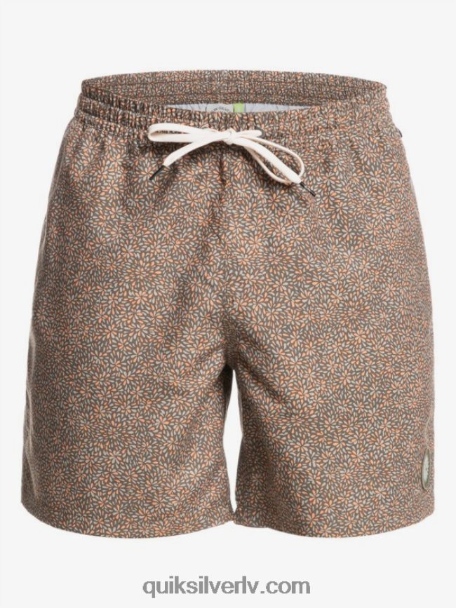 vīriešiem Quiksilver mini brauciens 17 zalves kanēlis 88064R1531