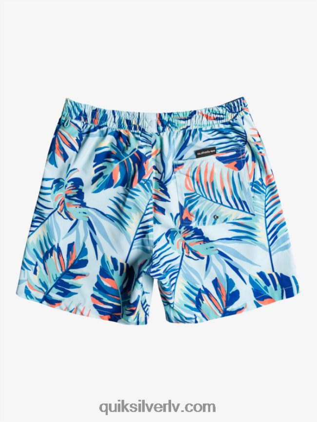 vīriešiem Quiksilver okeāns sajauc 17 zalves ledus ūdens 88064R1707