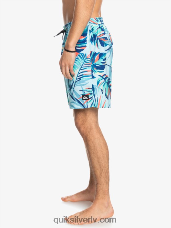 vīriešiem Quiksilver okeāns sajauc 17 zalves ledus ūdens 88064R1707