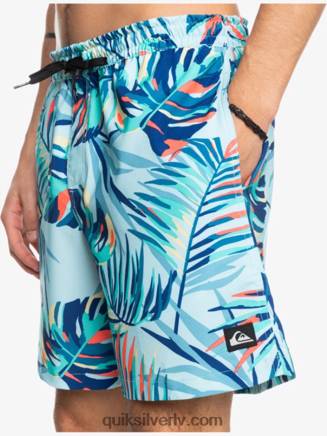 vīriešiem Quiksilver okeāns sajauc 17 zalves ledus ūdens 88064R1707