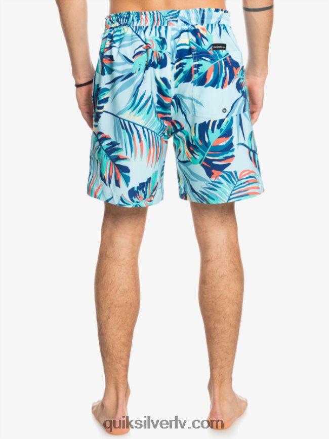 vīriešiem Quiksilver okeāns sajauc 17 zalves ledus ūdens 88064R1707