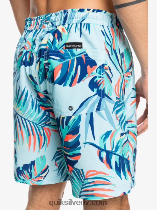 vīriešiem Quiksilver okeāns sajauc 17 zalves ledus ūdens 88064R1707