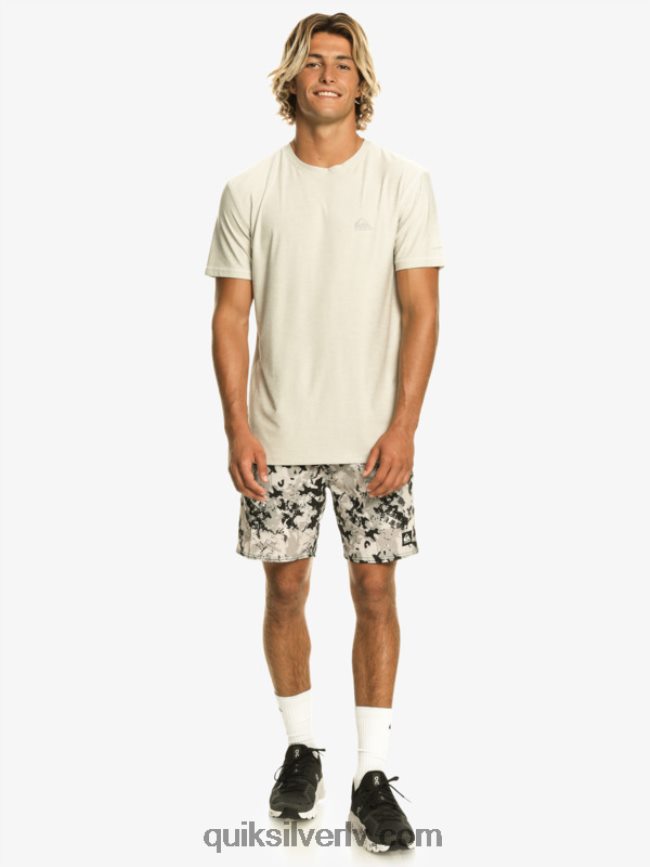 vīriešiem Quiksilver omni 17 treniņšorti pelēka violeta 88064R793
