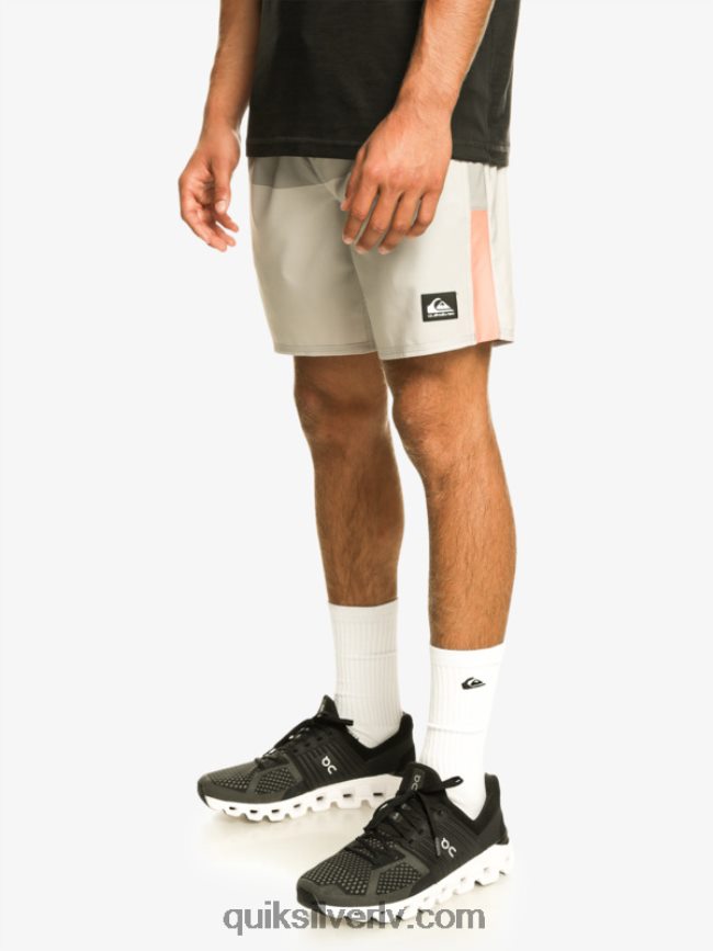 vīriešiem Quiksilver omni stretch 17 treniņšorti pelēka violeta 88064R828