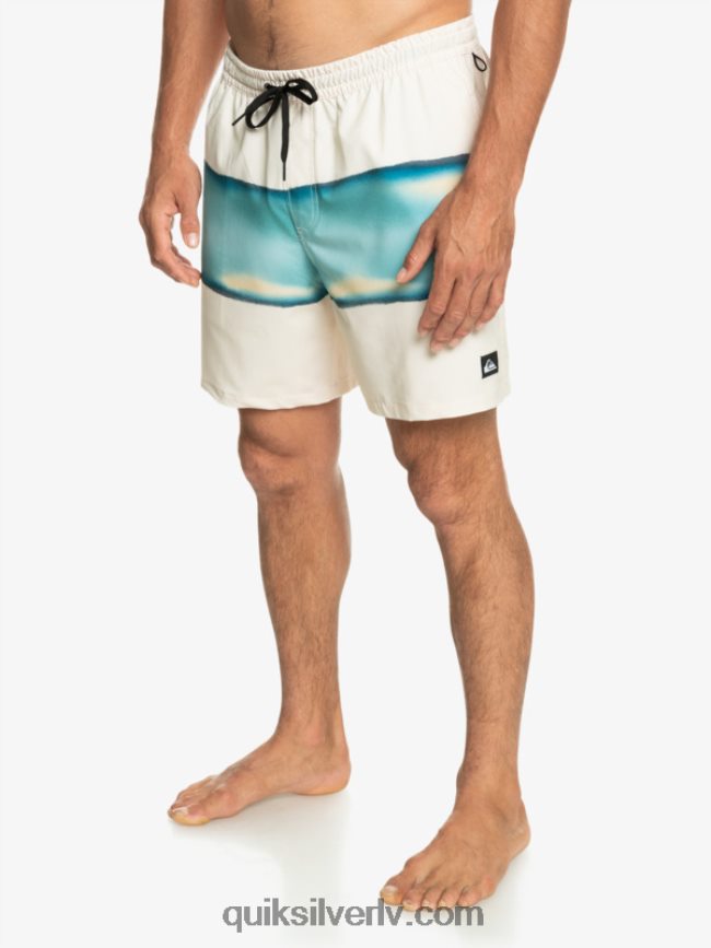 vīriešiem Quiksilver surfsilk air-brush 17 zalves bērzs 88064R656