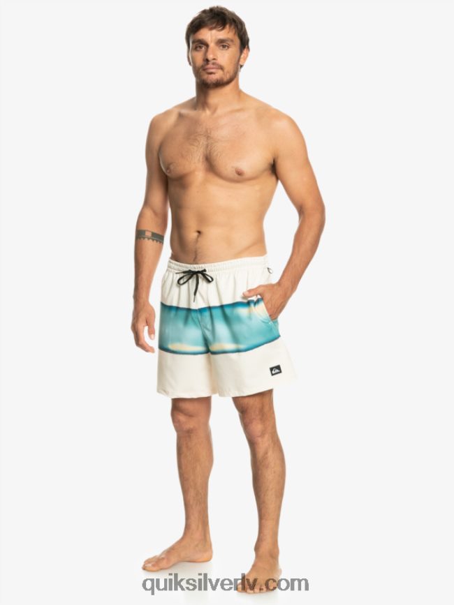 vīriešiem Quiksilver surfsilk air-brush 17 zalves bērzs 88064R656