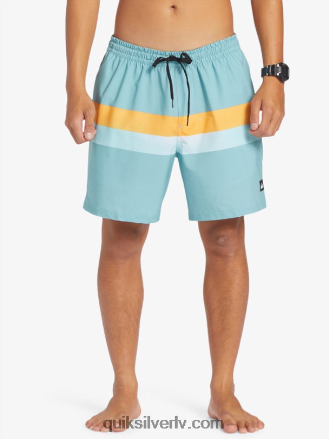 vīriešiem Quiksilver surfsilk air-brush 17 zalves kameja zils 88064R655
