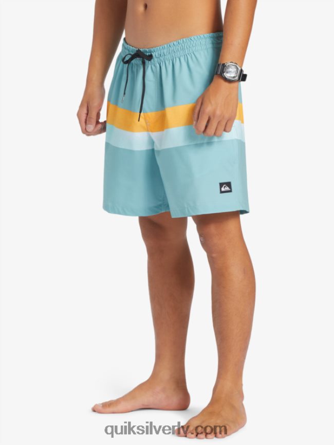 vīriešiem Quiksilver surfsilk air-brush 17 zalves kameja zils 88064R655