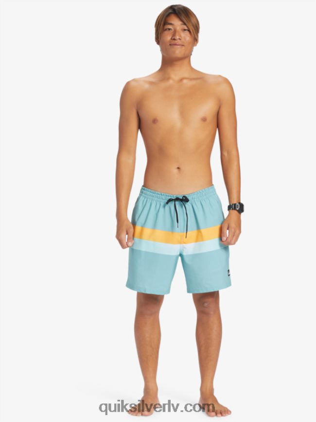 vīriešiem Quiksilver surfsilk air-brush 17 zalves kameja zils 88064R655