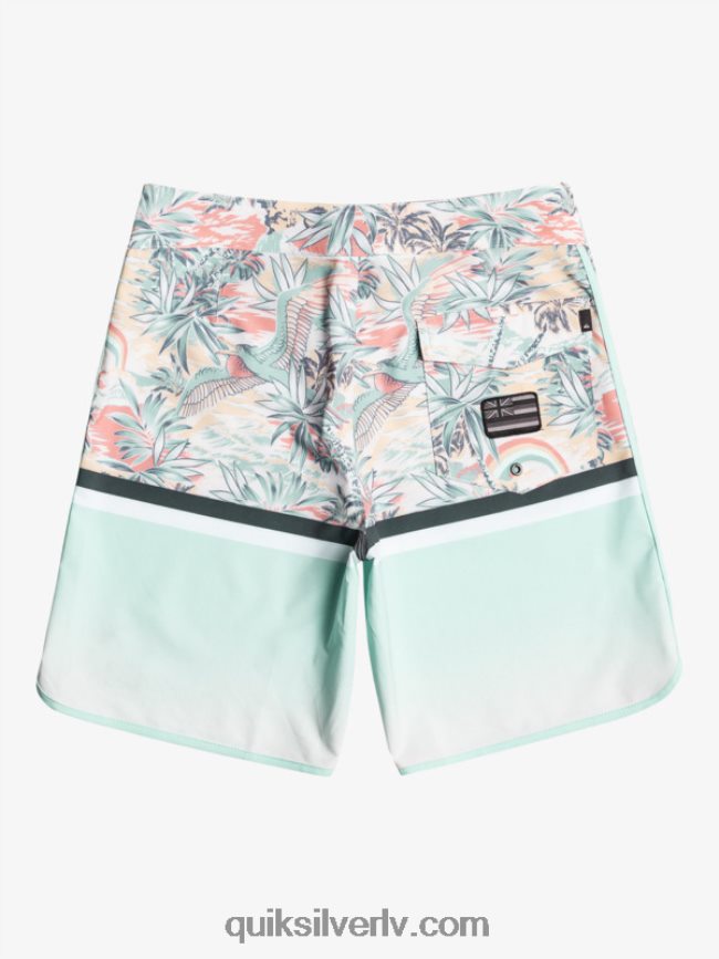 vīriešiem Quiksilver surfsilk division ķemmīšgliemene 19 dēļu šorti debesu zils 88064R1396