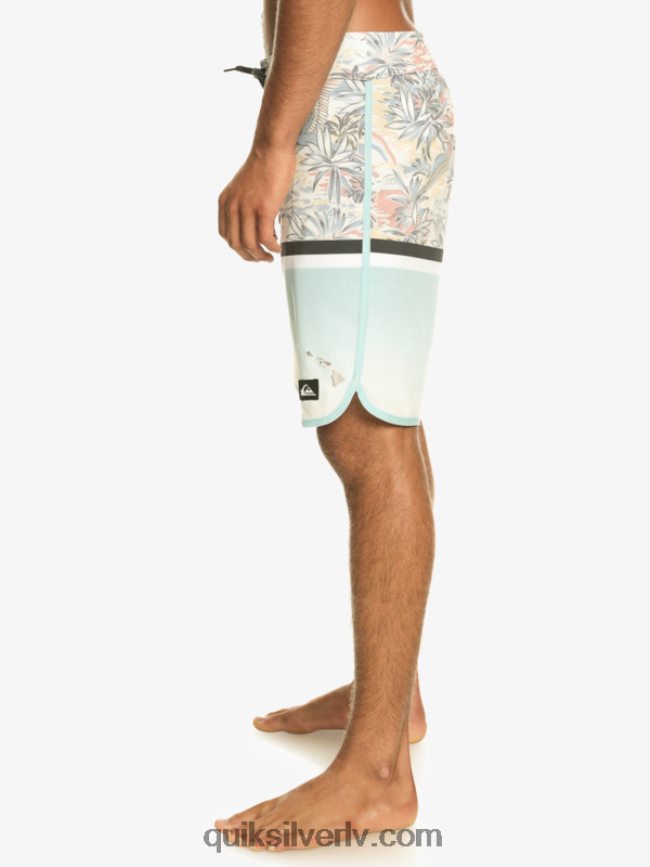 vīriešiem Quiksilver surfsilk division ķemmīšgliemene 19 dēļu šorti debesu zils 88064R1396