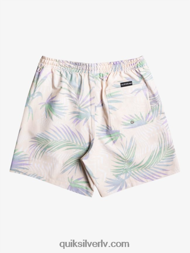 vīriešiem Quiksilver surfsilk mix 17 zalves bērzs 88064R635