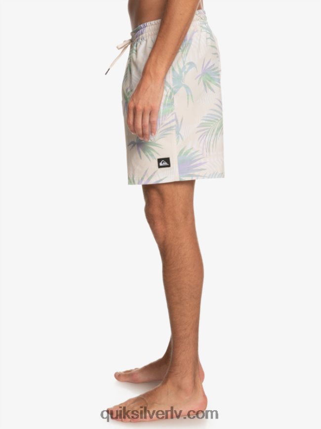 vīriešiem Quiksilver surfsilk mix 17 zalves bērzs 88064R635