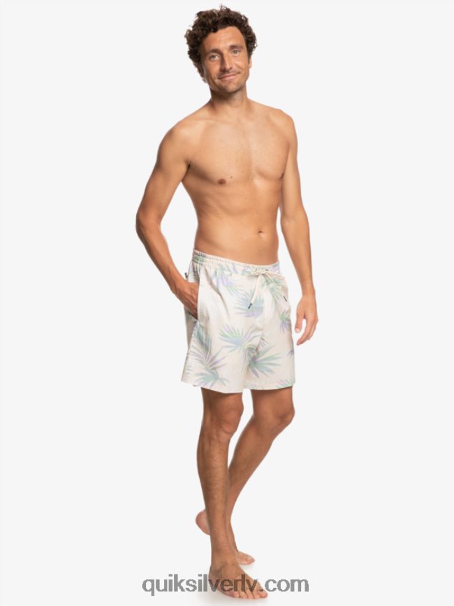 vīriešiem Quiksilver surfsilk mix 17 zalves bērzs 88064R635