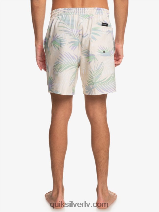 vīriešiem Quiksilver surfsilk mix 17 zalves bērzs 88064R635
