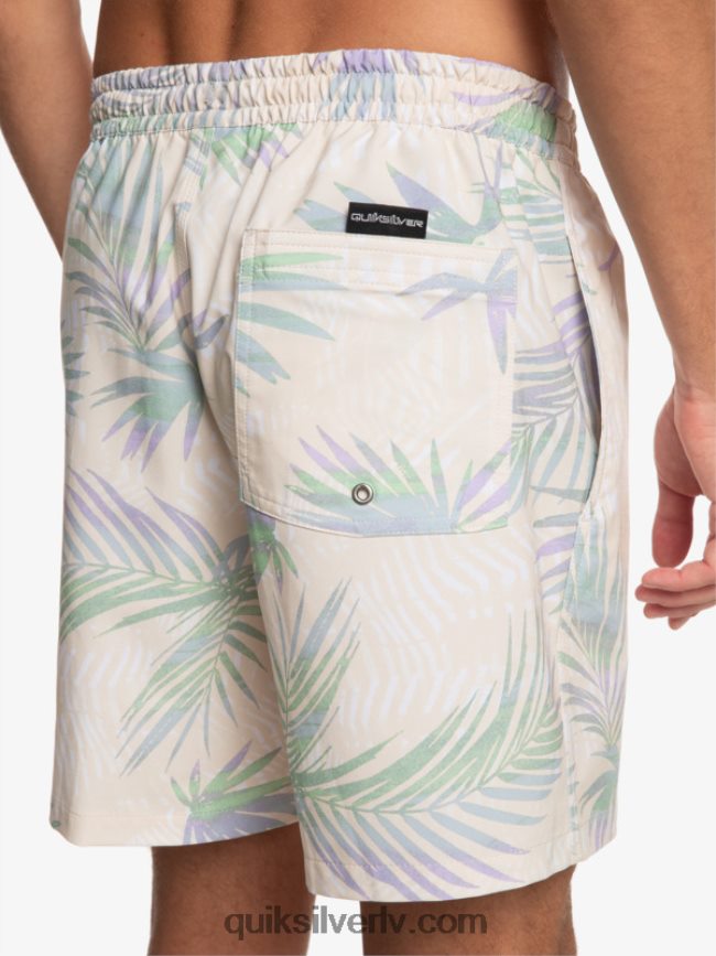 vīriešiem Quiksilver surfsilk mix 17 zalves bērzs 88064R635