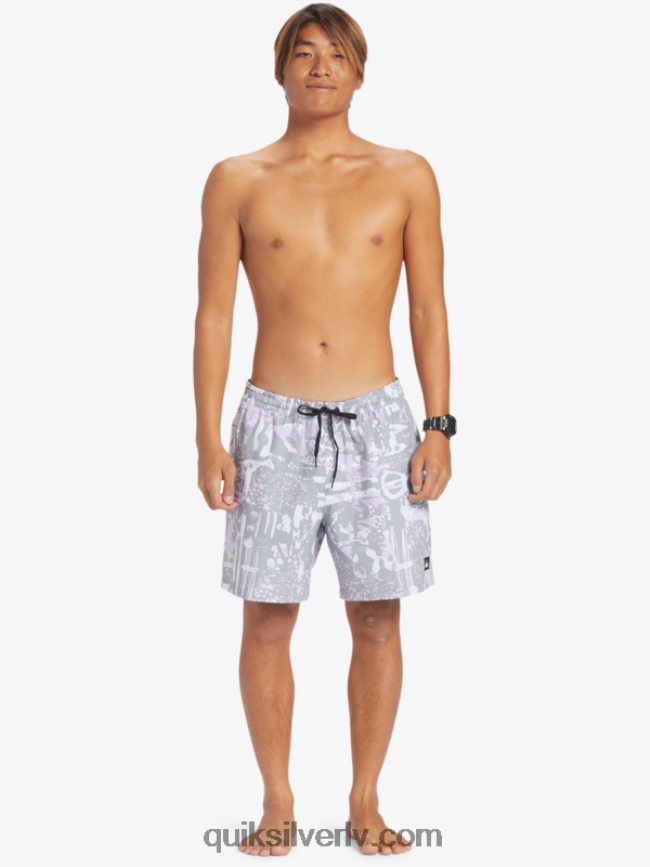 vīriešiem Quiksilver surfsilk mix 17 zalves dzelzs vārti 88064R633