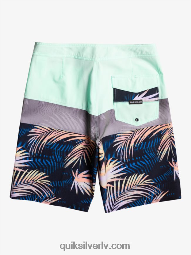 vīriešiem Quiksilver surfsilk panelis 20 dēļu šorti pludmales stikls 88064R134