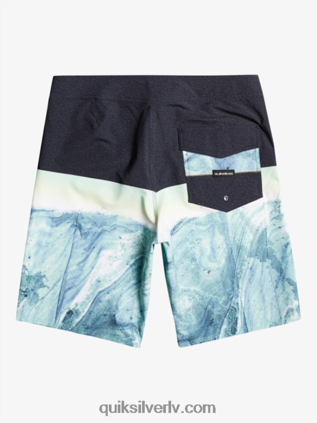 vīriešiem Quiksilver surfsilk panelis 20 dēļu šorti zaļie pelni 88064R1451