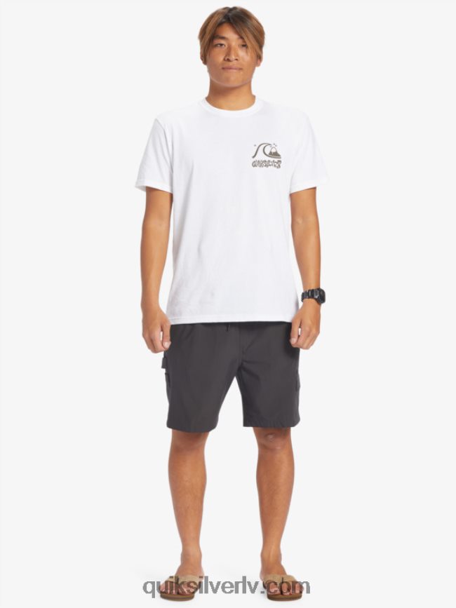 vīriešiem Quiksilver taxer cargo 18 amfībijas bordšorti asfalts 88064R251