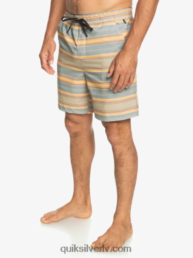 vīriešiem Quiksilver taxer print 18 abinieku borta šorti plaza taupe sērfošanas dienu svītra 88064R104