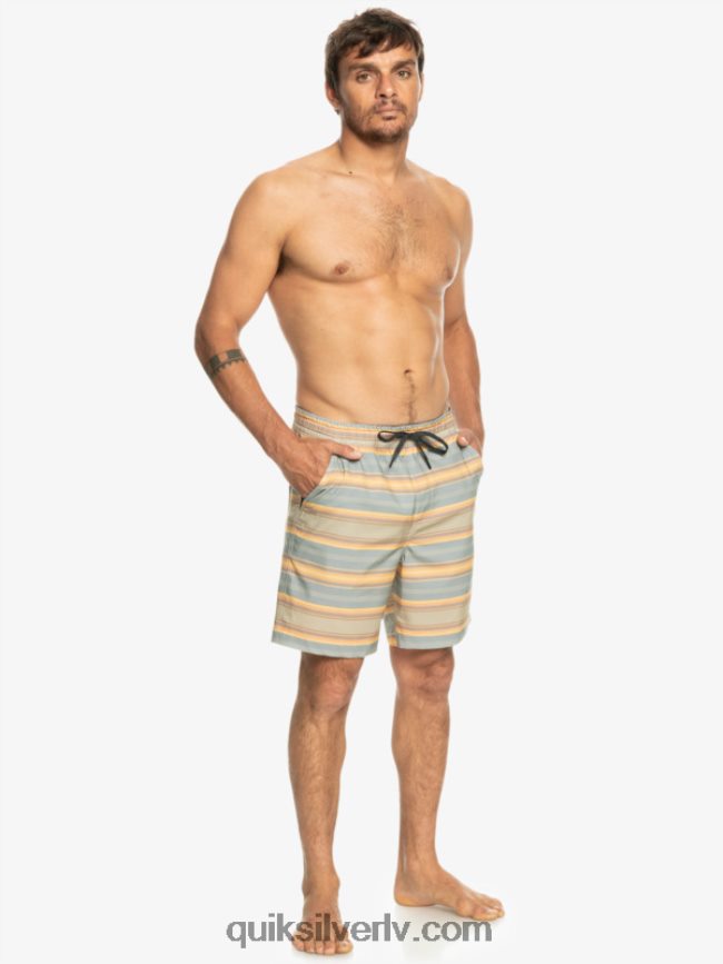 vīriešiem Quiksilver taxer print 18 abinieku borta šorti plaza taupe sērfošanas dienu svītra 88064R104