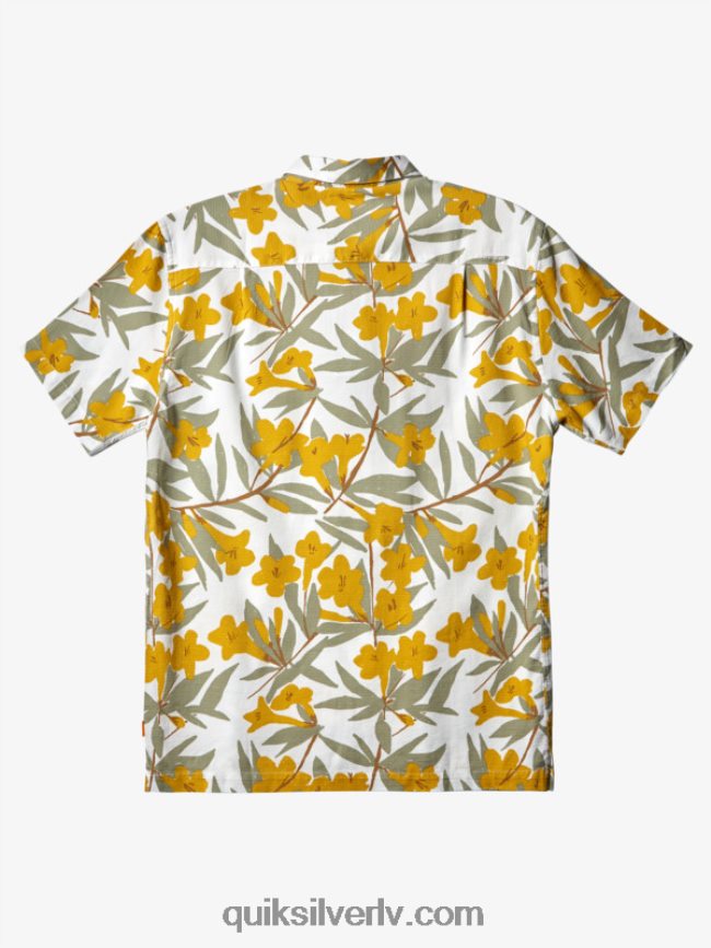 vīriešiem Quiksilver ūdensvīra krekls ar īsām piedurknēm tēja pa pilsētu 88064R472