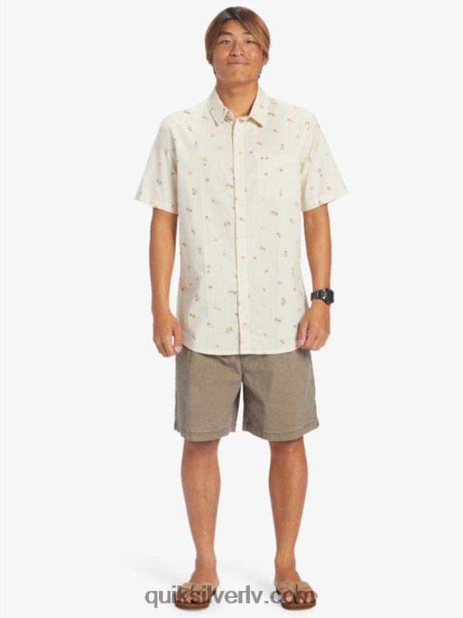 vīriešiem Quiksilver mierīgs rave krekls ar īsām piedurknēm bērzs peaceful rave ss 88064R590