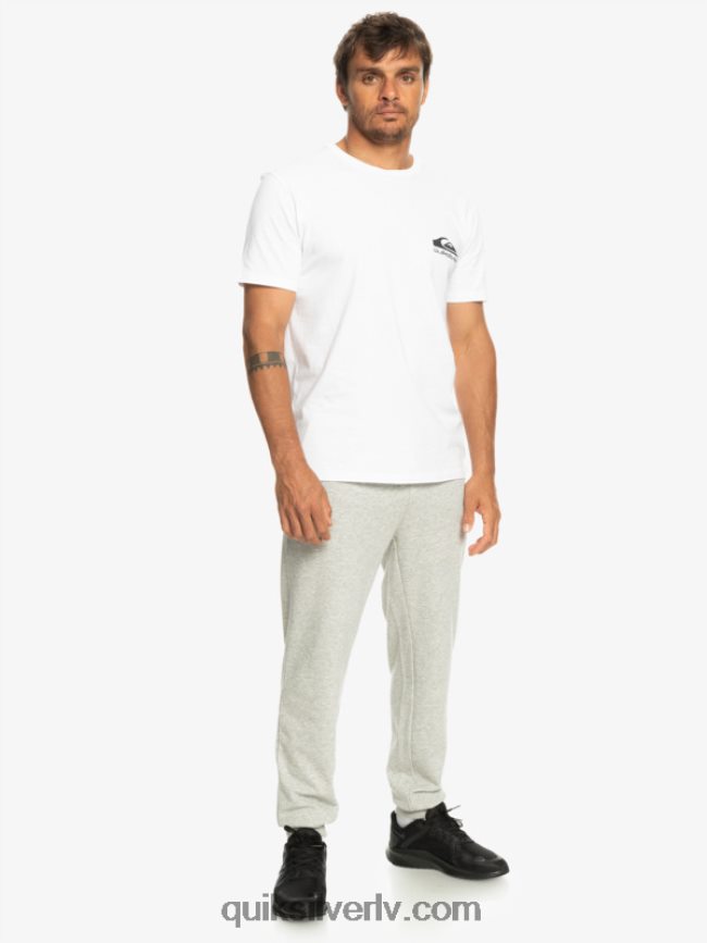 vīriešiem Quiksilver essentials joggers gaiši pelēki virši 88064R1256
