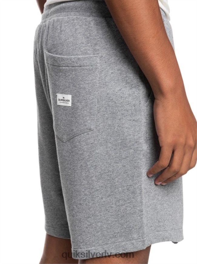 vīriešiem Quiksilver essentials 19 organiski sporta šorti gaiši pelēki virši 88064R1659