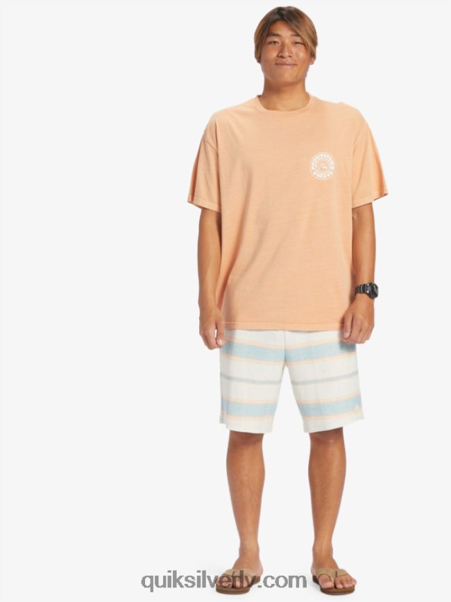 vīriešiem Quiksilver lieliski otway sviedru šorti kameja zila lieliska otway 88064R328