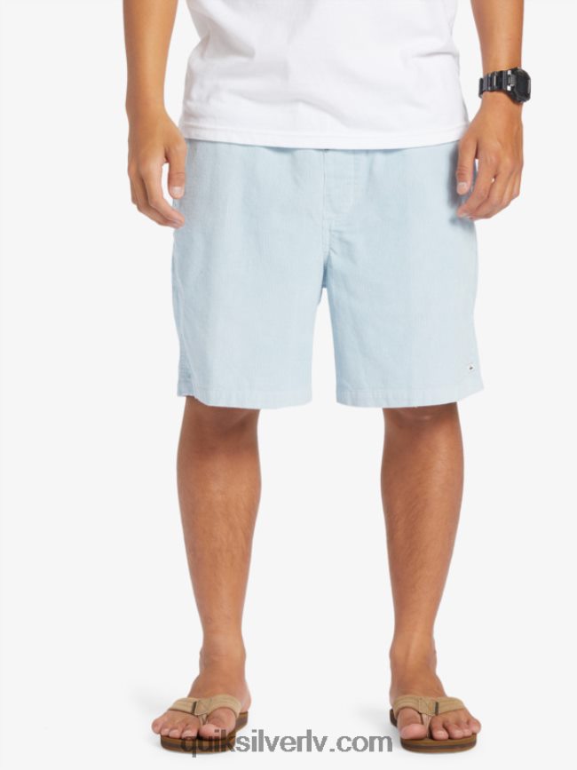 vīriešiem Quiksilver taksera auklas šorti debeszils 88064R361
