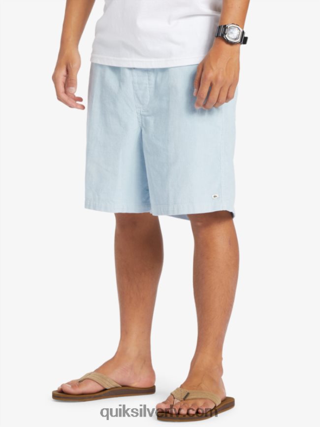 vīriešiem Quiksilver taksera auklas šorti debeszils 88064R361