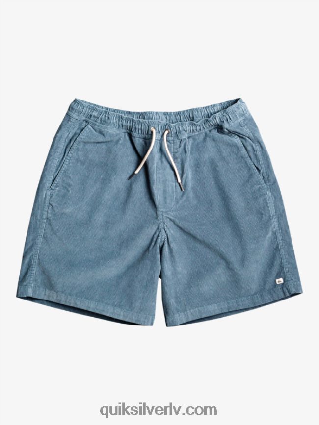 vīriešiem Quiksilver taksera auklas šorti jūra 88064R364