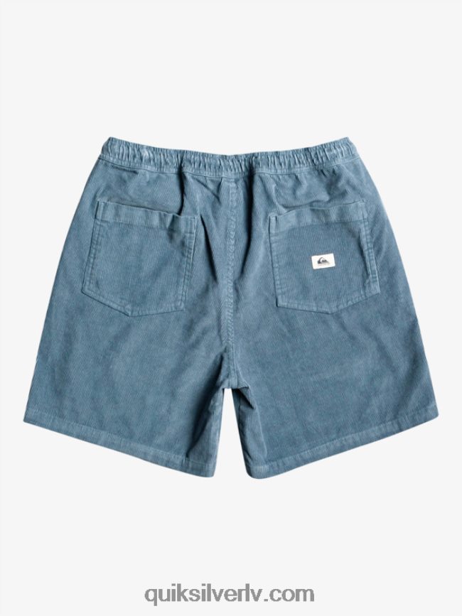 vīriešiem Quiksilver taksera auklas šorti jūra 88064R364