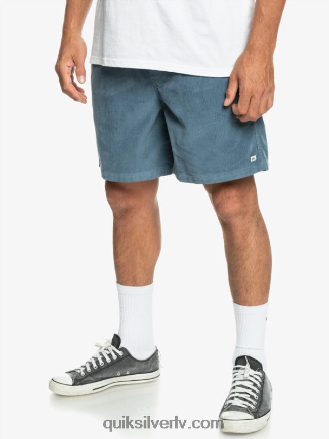 vīriešiem Quiksilver taksera auklas šorti jūra 88064R364