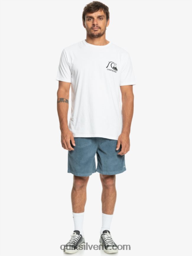 vīriešiem Quiksilver taksera auklas šorti jūra 88064R364