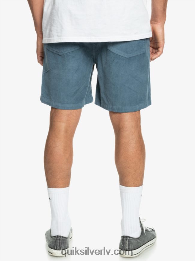 vīriešiem Quiksilver taksera auklas šorti jūra 88064R364