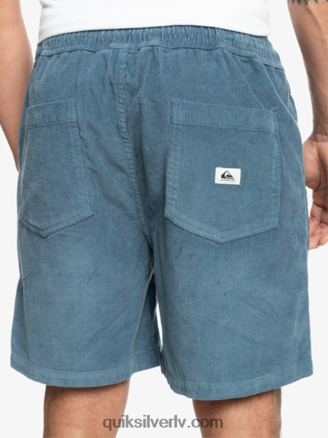 vīriešiem Quiksilver taksera auklas šorti jūra 88064R364
