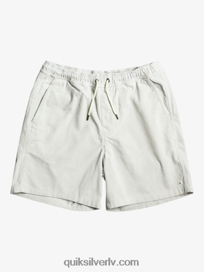 vīriešiem Quiksilver taksera auklas šorti pelēka violeta 88064R363