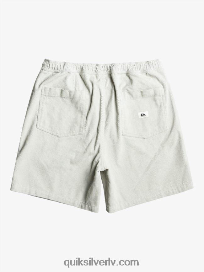 vīriešiem Quiksilver taksera auklas šorti pelēka violeta 88064R363