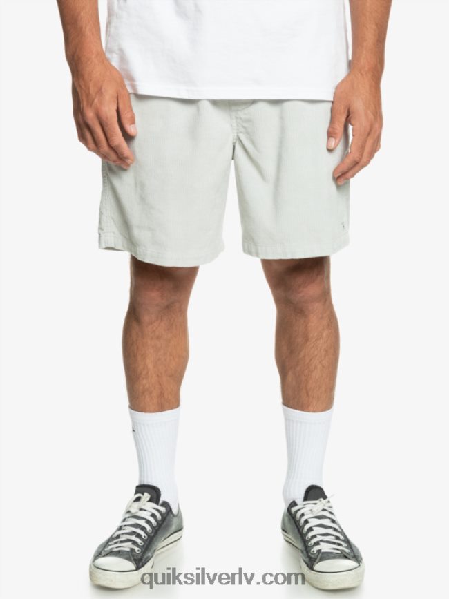 vīriešiem Quiksilver taksera auklas šorti pelēka violeta 88064R363